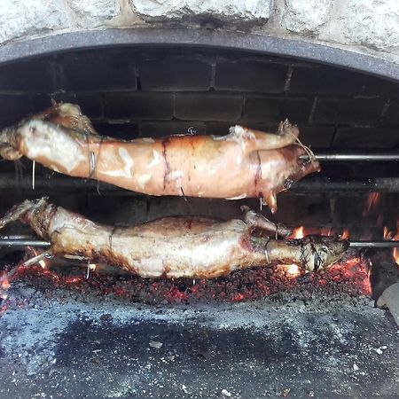 Guesthouse Zorko Gostilna Domen Šmarješke Toplice Zewnętrze zdjęcie