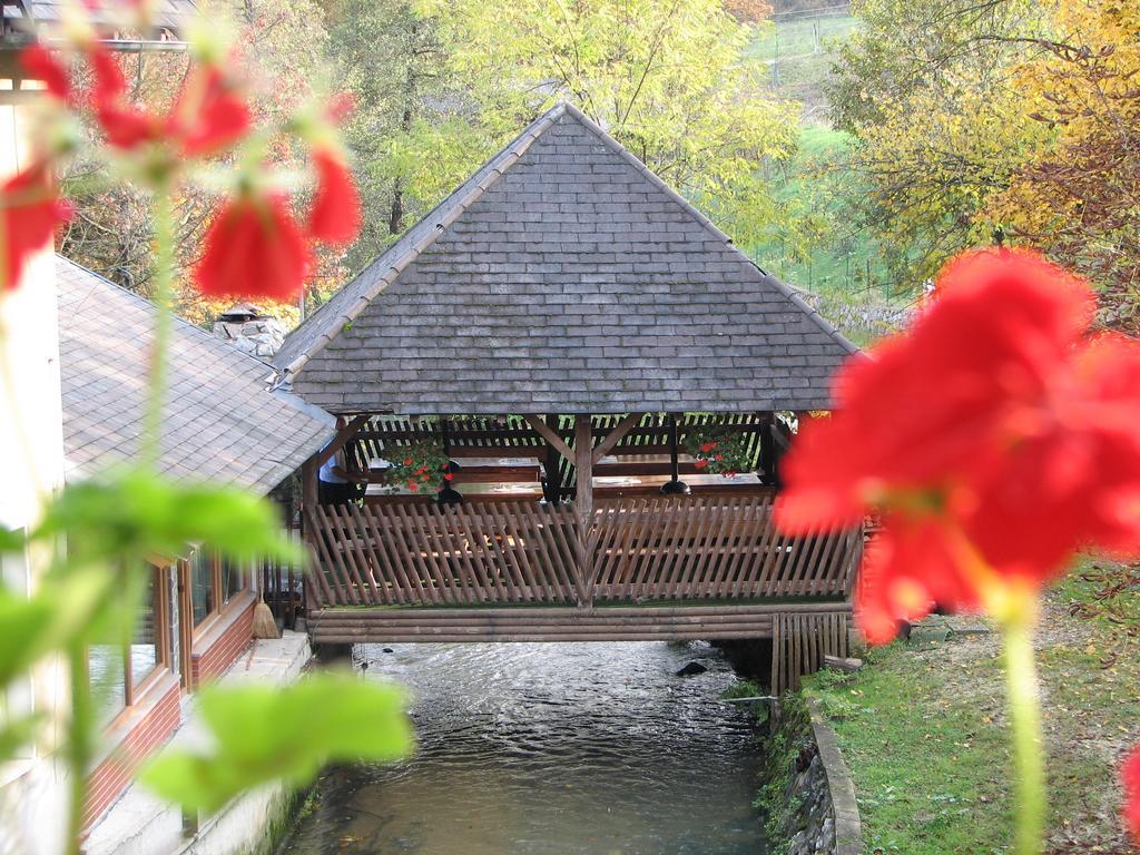 Guesthouse Zorko Gostilna Domen Šmarješke Toplice Zewnętrze zdjęcie