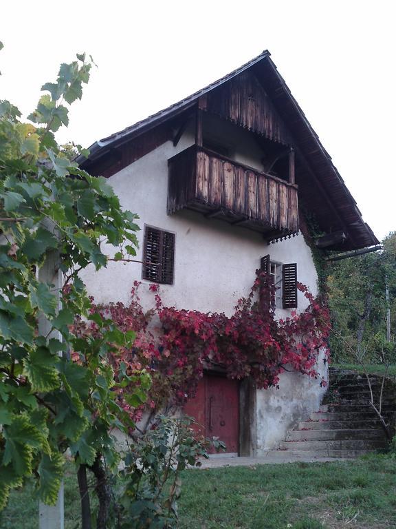 Guesthouse Zorko Gostilna Domen Šmarješke Toplice Zewnętrze zdjęcie