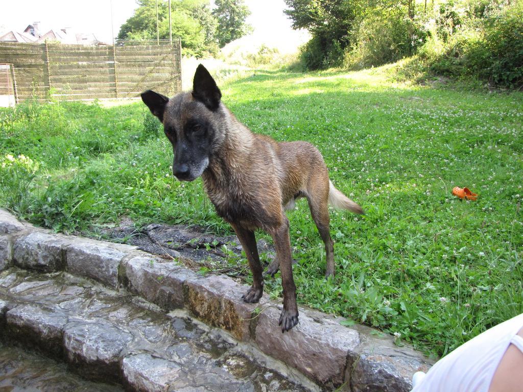 Guesthouse Zorko Gostilna Domen Šmarješke Toplice Zewnętrze zdjęcie